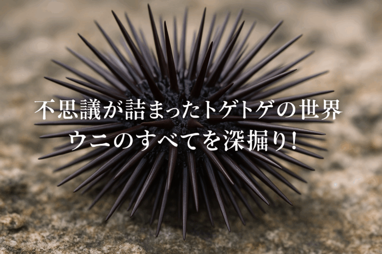 ウニは何類?棘皮動物の分類から生態、食文化まで徹底解説 – ウニ百科
